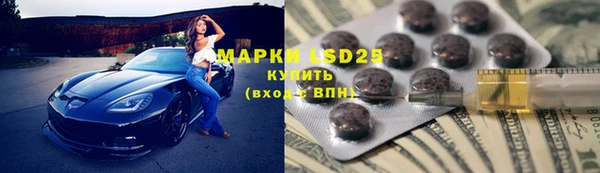 сатива Аркадак