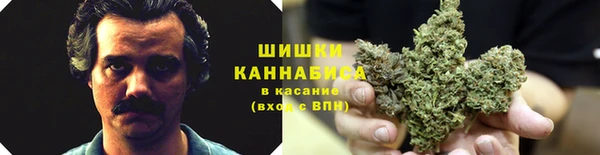 сатива Аркадак