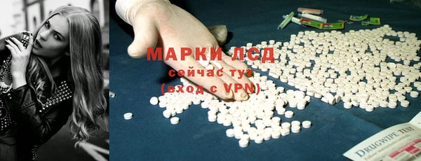 сатива Аркадак