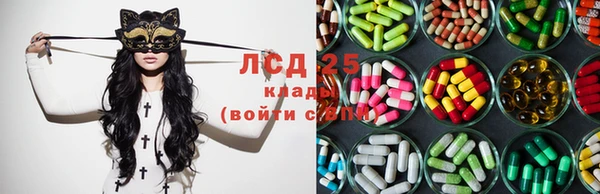 ГАЛЛЮЦИНОГЕННЫЕ ГРИБЫ Армянск