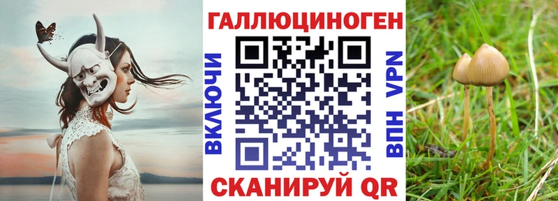 даркнет сайт  ОМГ ОМГ tor  Галлюциногенные грибы Magic Shrooms  Сердобск 